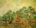Recogida de aceitunas 3 Vincent van Gogh